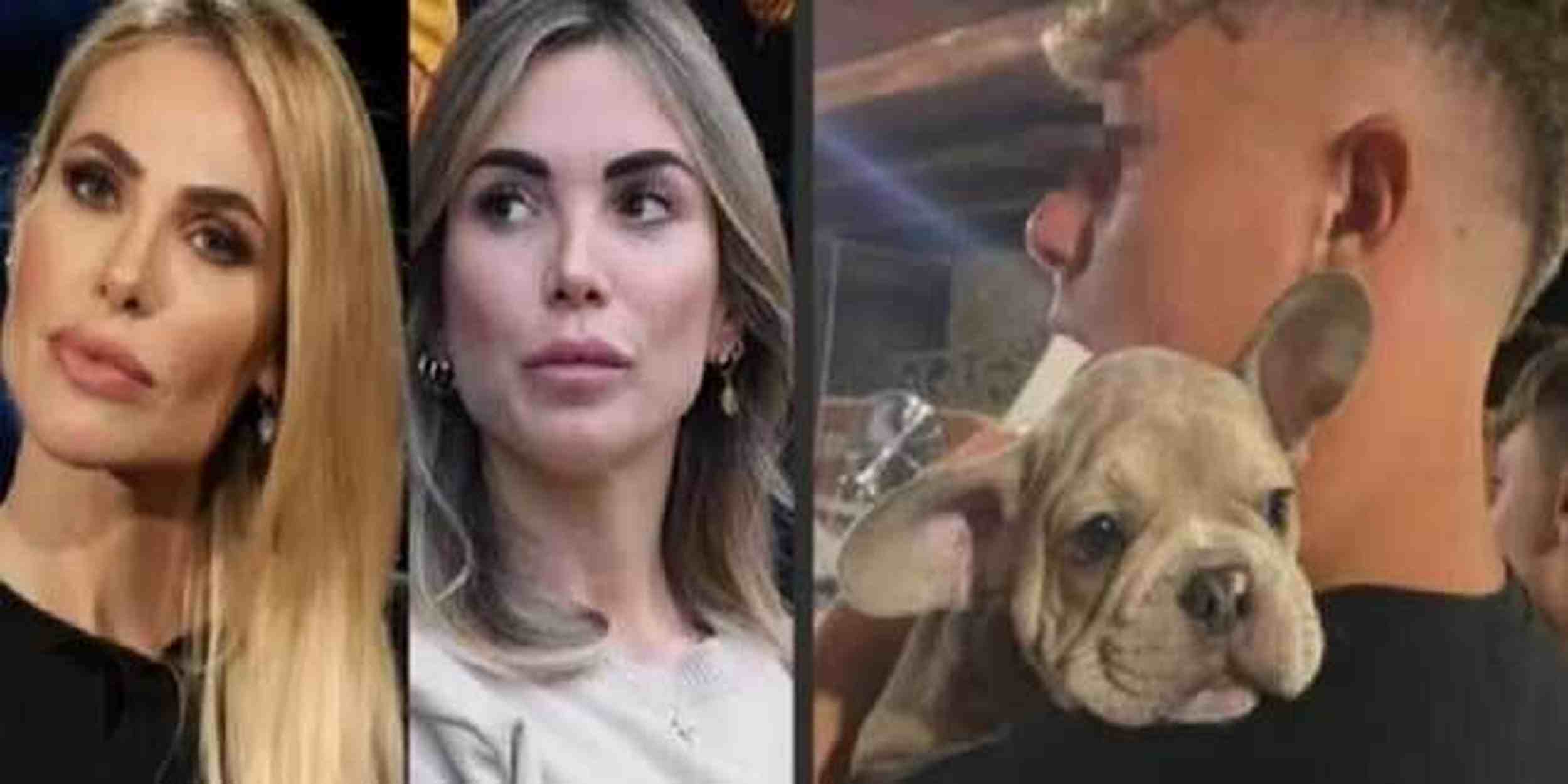 Totti-Ilary, sparito il cane di Cristian: gliel’aveva regalato Noemi Bocchi