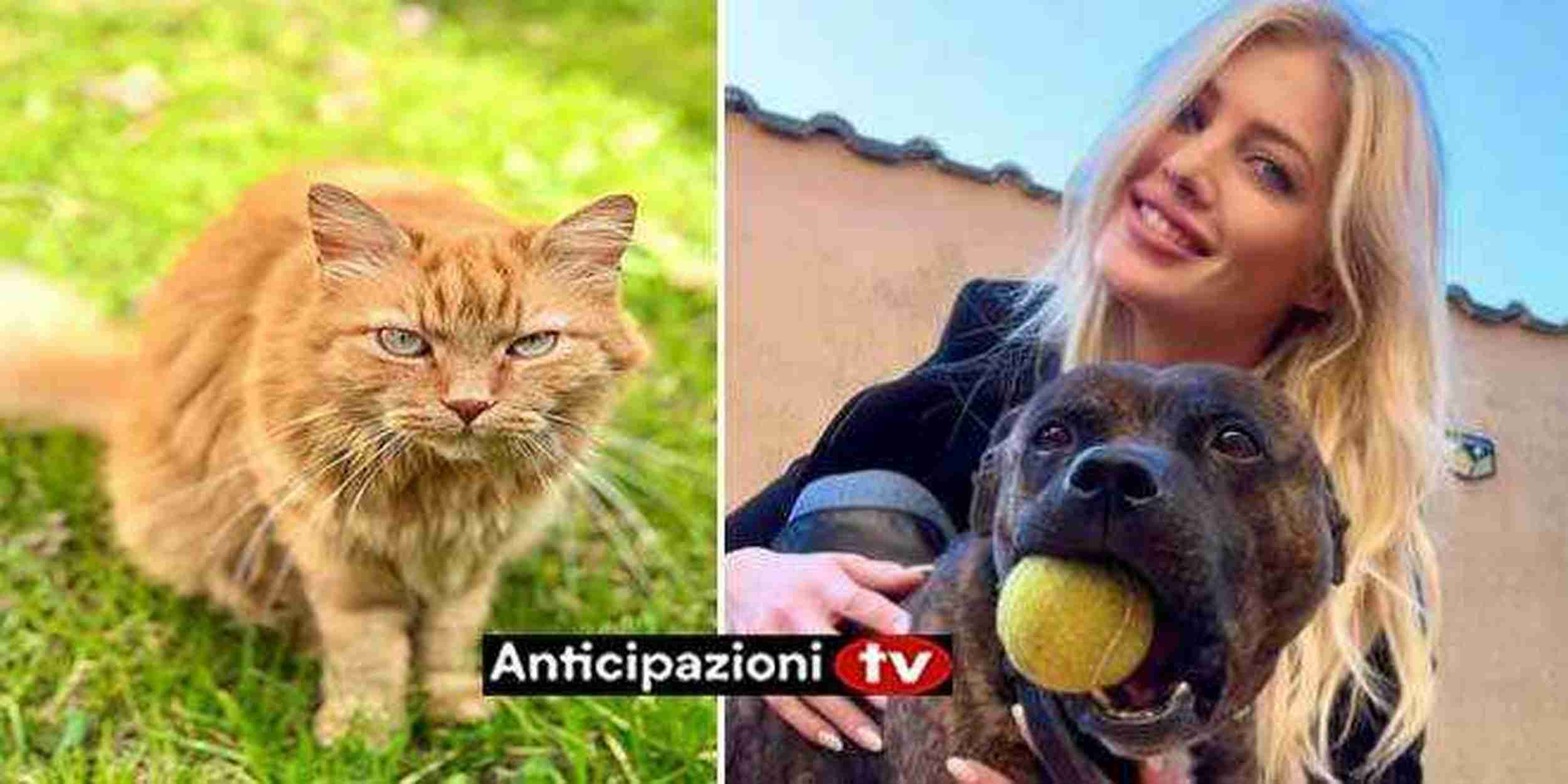 Sapevate che Nicole Santinelli ha una passione per gli animali?