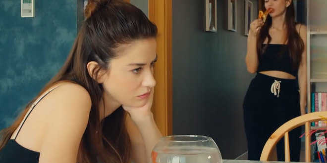 Mr. Wrong anticipazioni 2 luglio 2021, Ezgi in trappola?