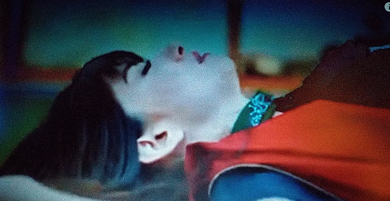 Bitter Sweet anticipazioni, 25 giugno 2019: Nazli sviene a casa di Ferit